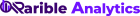 Raibleanalytics-logo-final